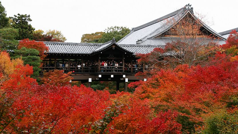 Tofuku-ji Temple – Kyoto’s top autumn foliage spot.