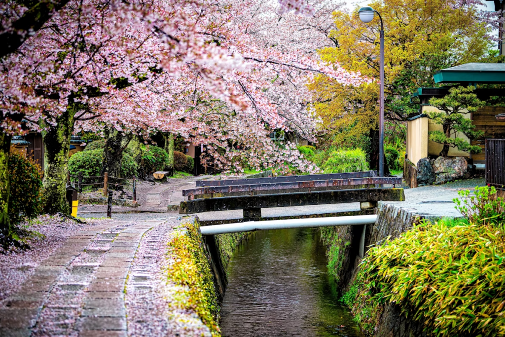 Philosopher’s Path – Cherry blossom-lined walking trail in Kyoto.