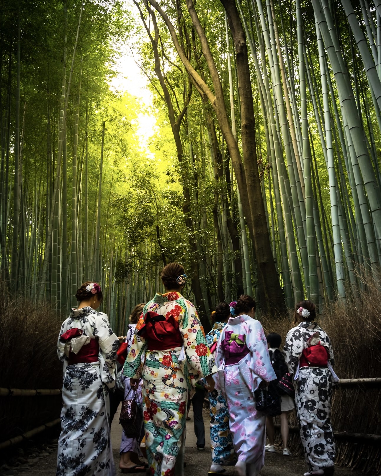 Arashiyama & Bamboo Grove