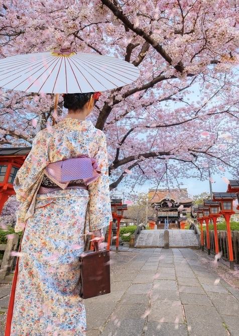 Kimono Sakura Stroll