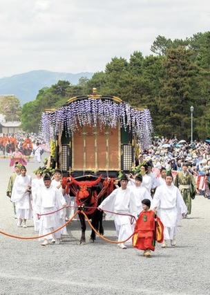 Aoi Matsuri