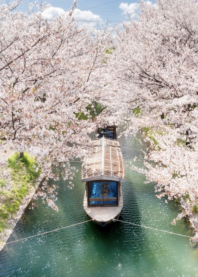 Cherry Blossom River Cruise