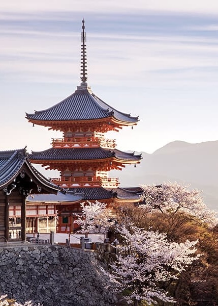 Kiyomizu-dera Cherry Blossoms