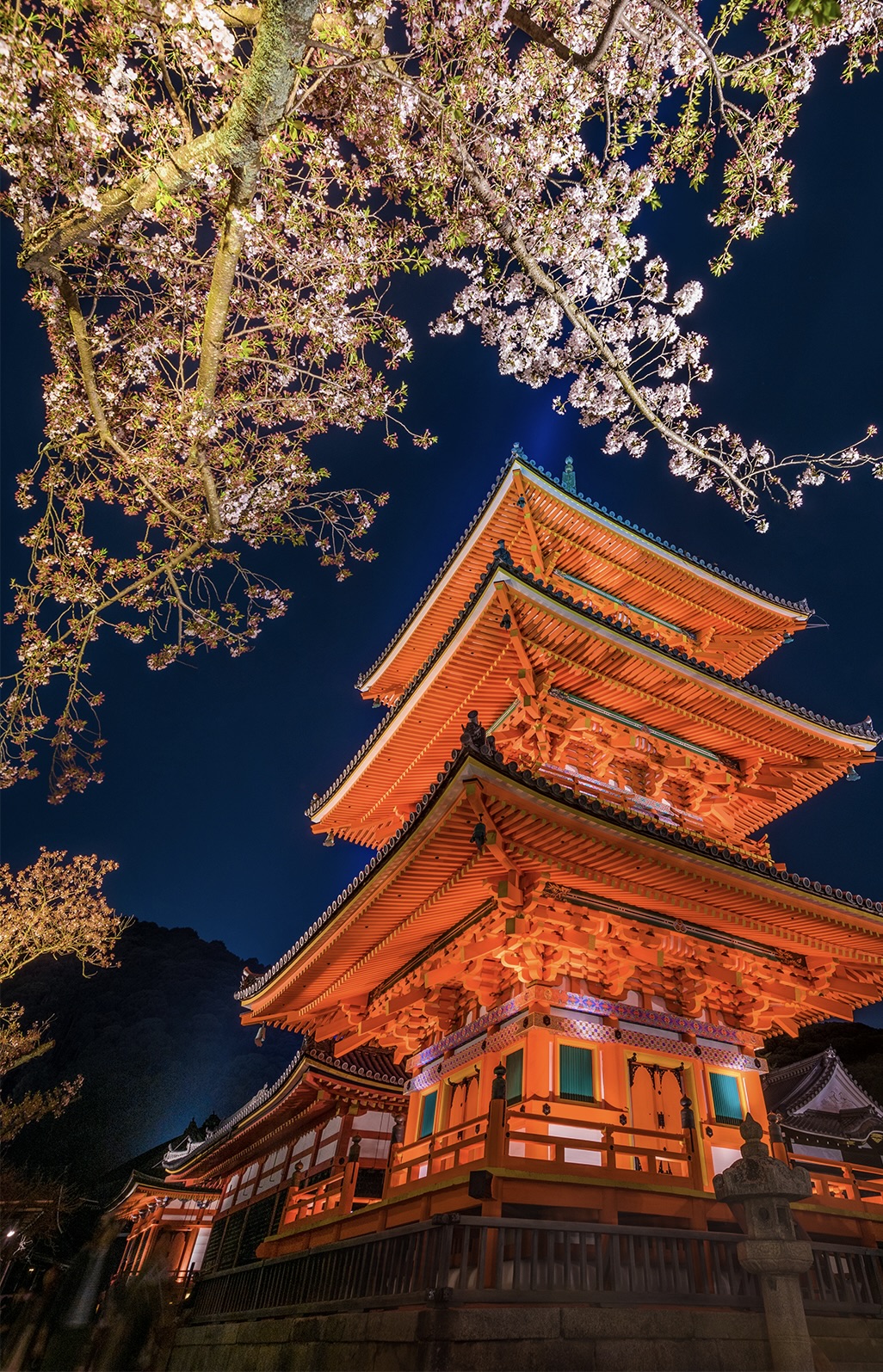 Kiyomizu-dera Night Sakura